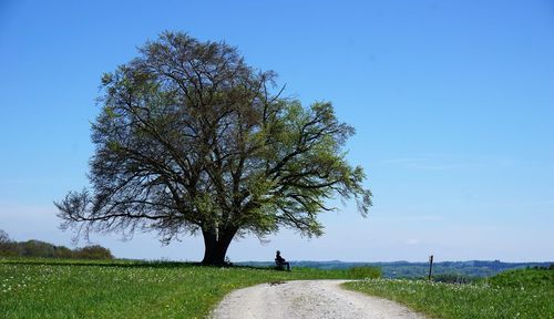 Man with dog walking on field against clear blue sky