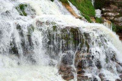 View of waterfall in forest