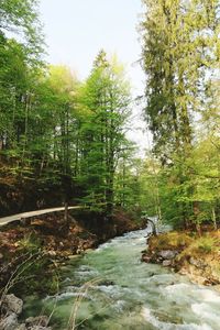 Scenic view of waterfall in forest against sky