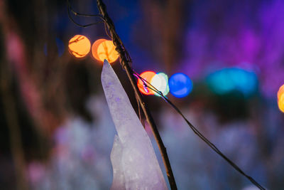 Close-up of red umbrella