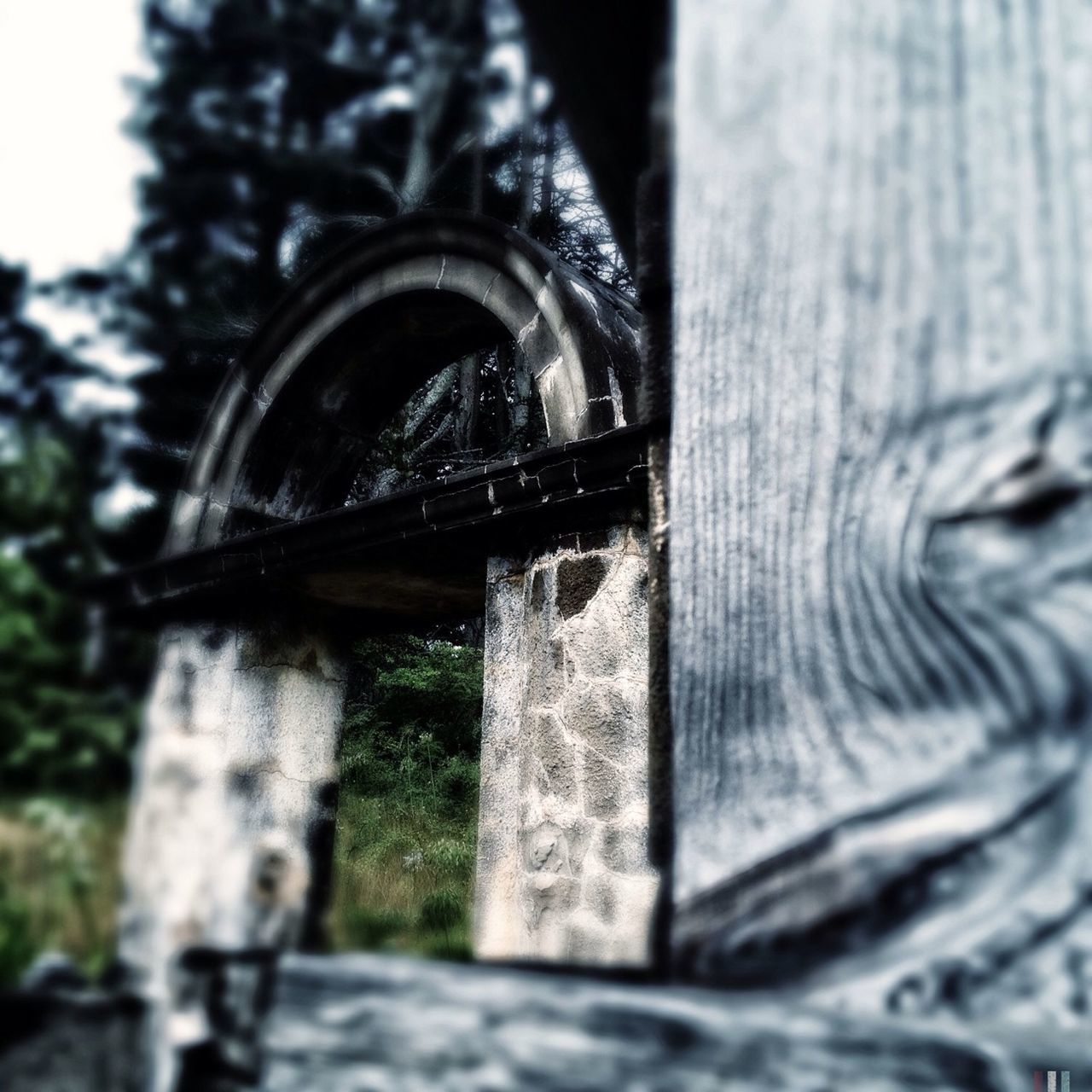 architecture, built structure, focus on foreground, old, selective focus, building exterior, tree, close-up, metal, outdoors, day, gate, wood - material, weathered, no people, arch, history, door, part of, wooden