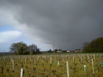 Scenic view of field against cloudy sky