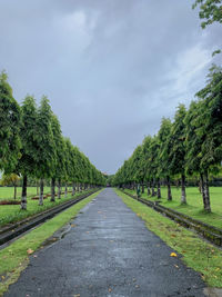 Road amidst trees against sky
