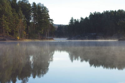 Reflection of trees in lake against sky