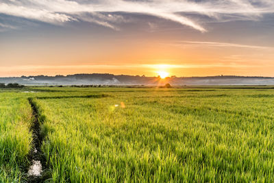 Scenic view of field against sky during sunset