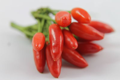 Close-up of red chili pepper on white background