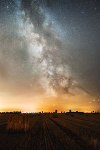 Scenic view of agricultural field against sky at night