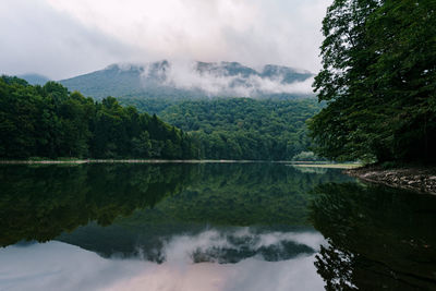 Scenic view of lake by trees against sky