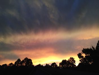 Silhouette of trees against cloudy sky