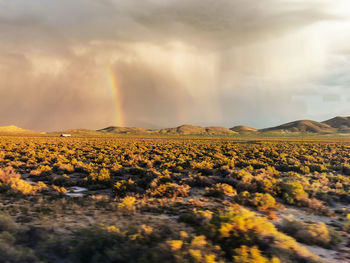 Scenic view of field against sky during sunset