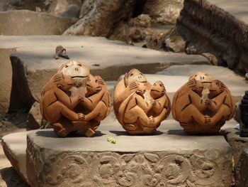 Close-up of pumpkins