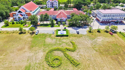 High angle view of trees and buildings in city