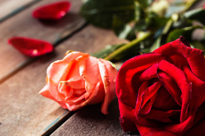 Close-up of red rose on table