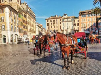 Horse cart in city