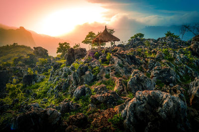 Trees on landscape against sky during sunset