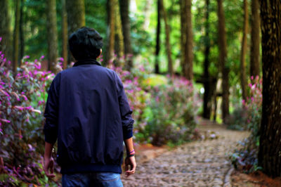 Rear view of man walking in forest