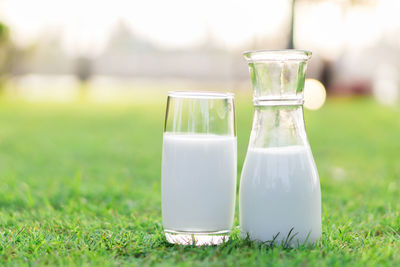 Close-up of drink on field