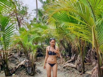 Young woman in bikini standing by palm tree