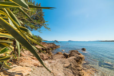 Scenic view of sea against clear blue sky