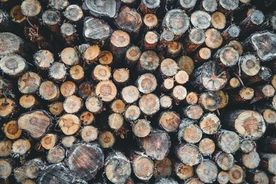 Full frame shot of logs in forest