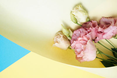 High angle view of pink flower on table