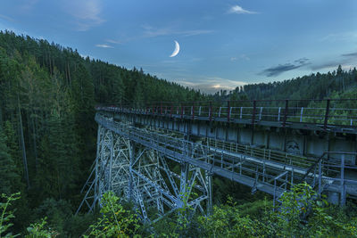 Panoramic shot of trees in forest against sky