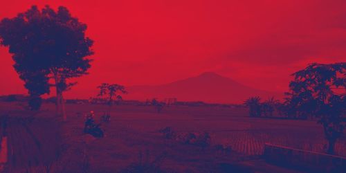 Scenic view of landscape against orange sky