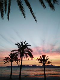 Silhouette palm trees at beach against sky during sunset