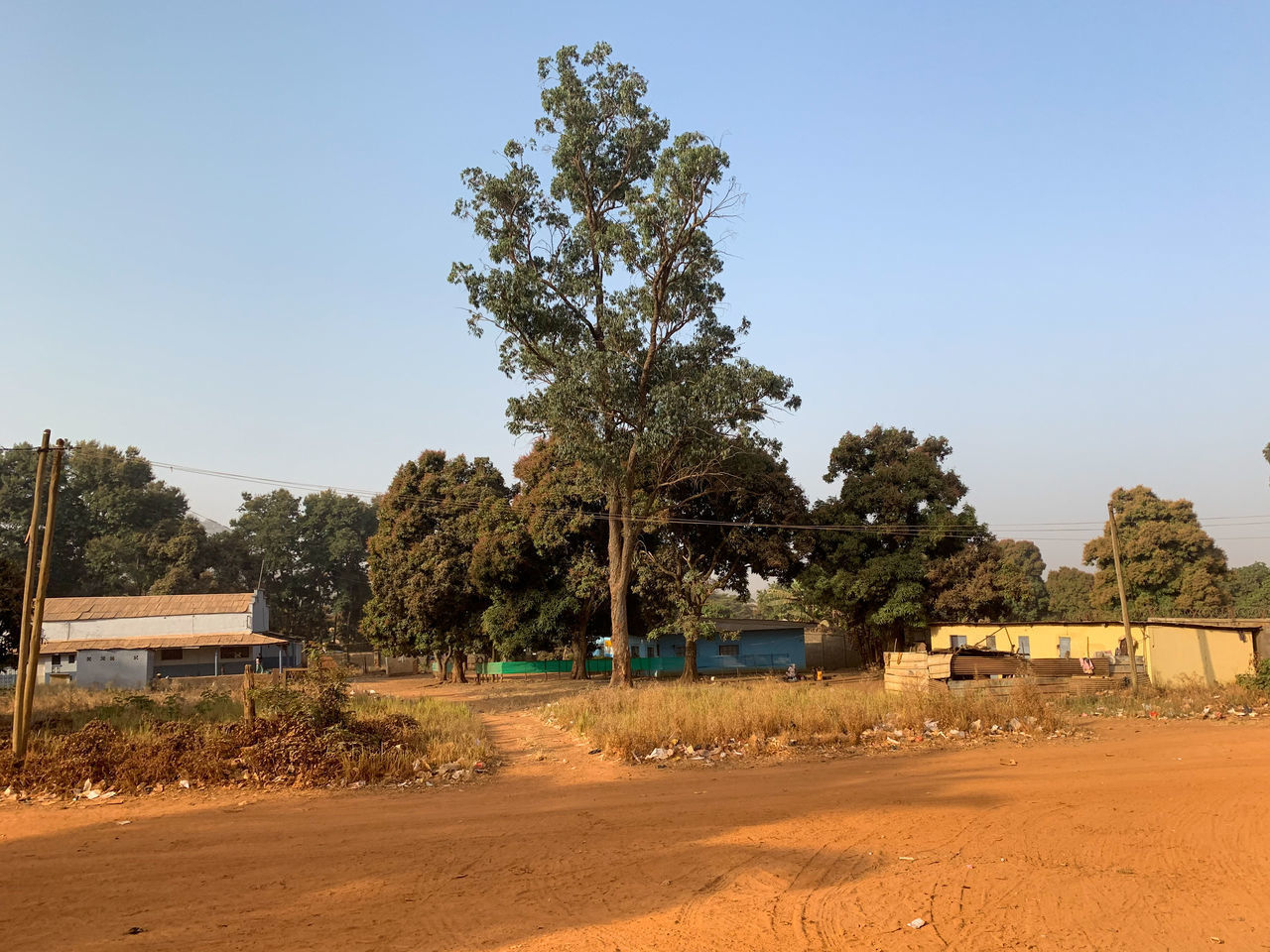 TREES ON FIELD BY ROAD AGAINST SKY