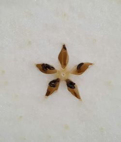 Close-up high angle view of bread