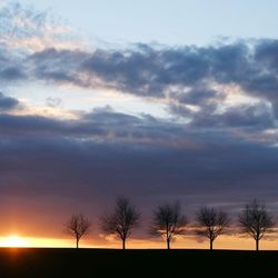 Low angle view of silhouette trees against sky during sunset