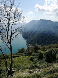 Scenic view of landscape against sky