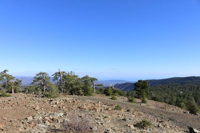 Scenic view of landscape against clear blue sky