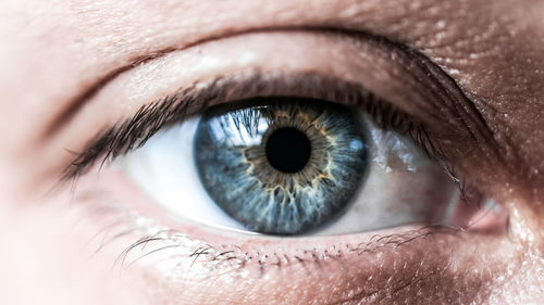 Extreme close-up portrait of woman eye