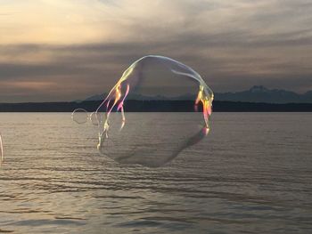 Clothes hanging on sea against sky during sunset