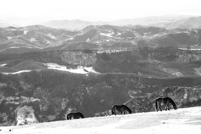 View of people on mountain range