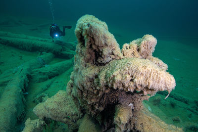 Mystic scenery in a lake in austria