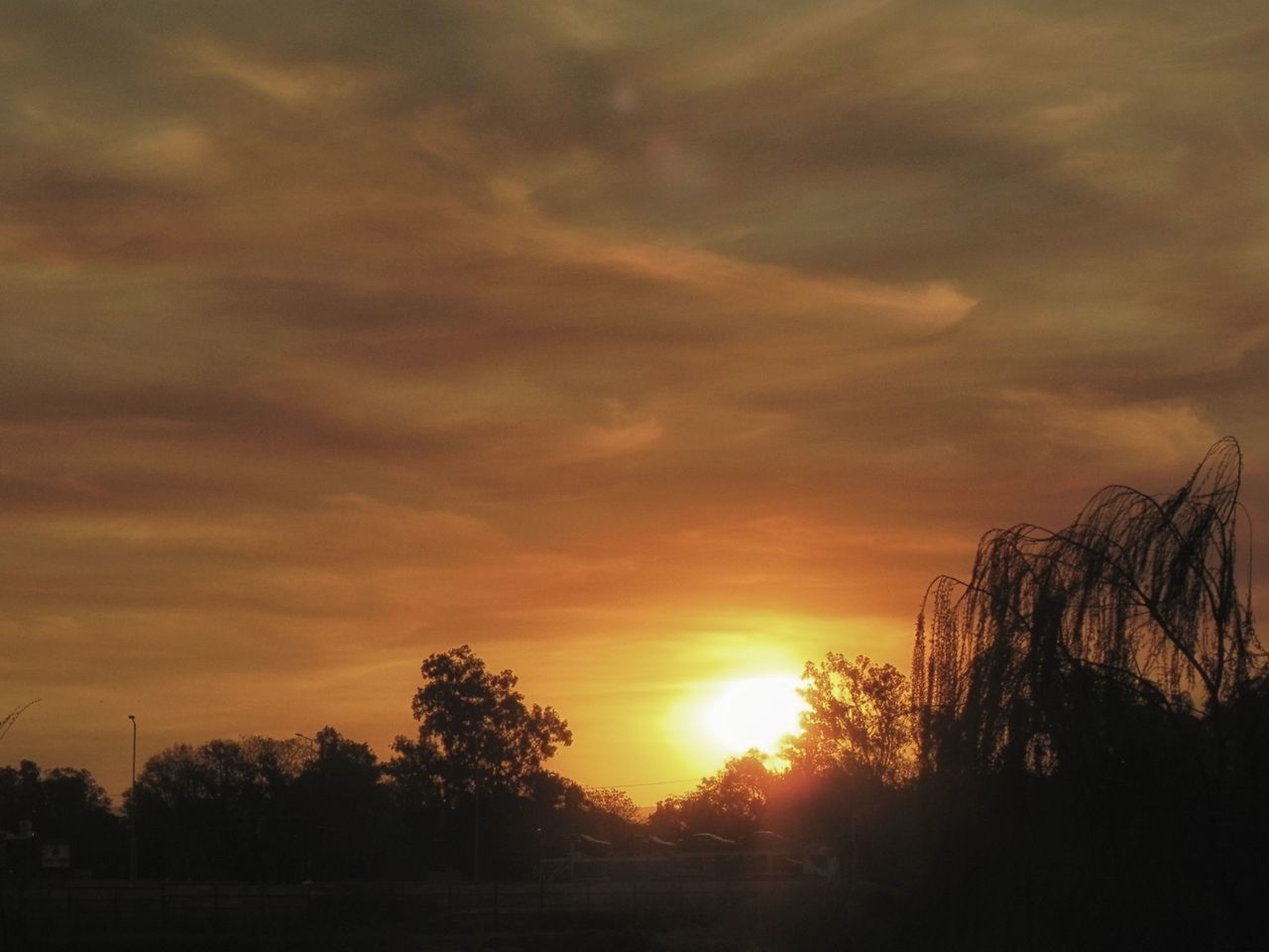 SILHOUETTE TREES AGAINST ORANGE SKY DURING SUNSET