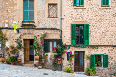 Plants growing outside house