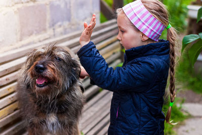 Child combing dog care long fur animal combs for pets love support adoption homeless mongrel shelter