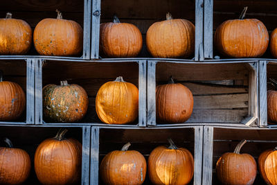 Full frame shot of pumpkins for sale at market