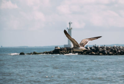 Seagull flying over sea against sky