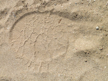 High angle view of sand on beach