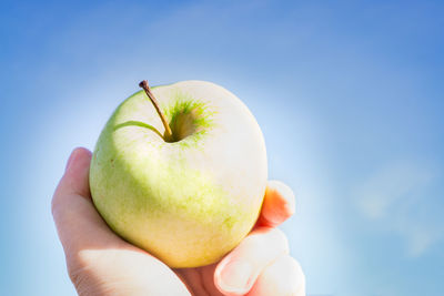 Close-up of hand holding apple against blue sky