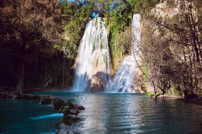 Scenic view of waterfall in forest