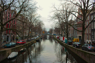 Canal amidst bare trees in city