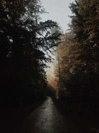 Road amidst trees in forest against clear sky