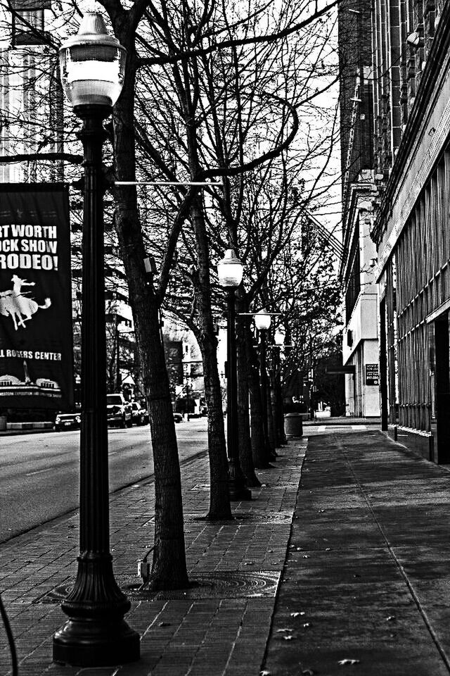 architecture, built structure, the way forward, building exterior, tree, bare tree, diminishing perspective, cobblestone, street, footpath, city, walkway, empty, sidewalk, vanishing point, building, street light, day, outdoors, narrow