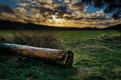 Scenic view of field against sky