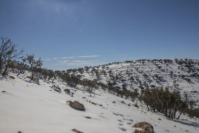 Snow falling on  in ma'an governorate in jordan